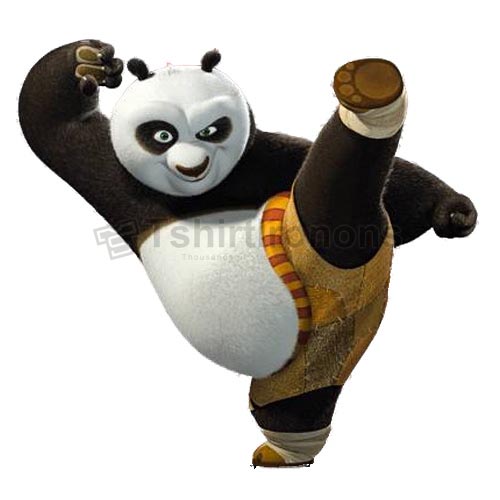 Kung Fu Panda T-shirts Iron On Transfers N2670